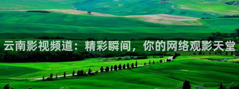 奇优影院免费观看高清完整