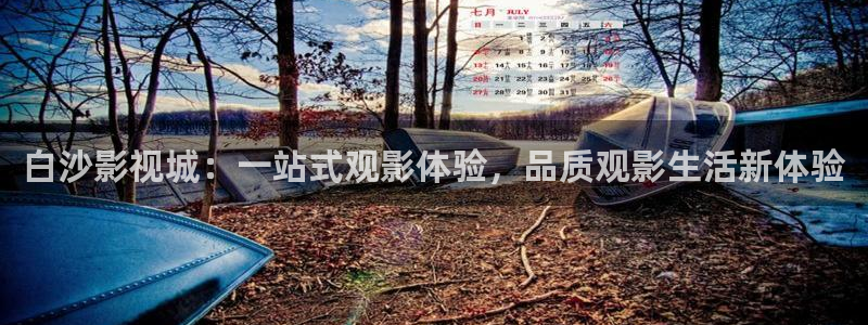 奇优影院在线观看手机版