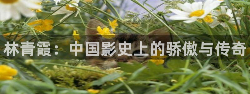 奇优影院高清手机版免费