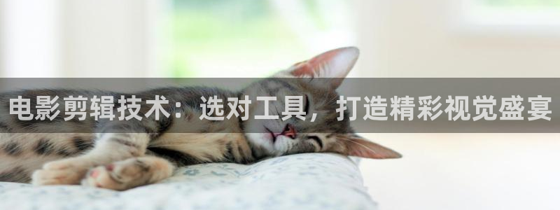 奇优影院电影电视剧在线观看免费