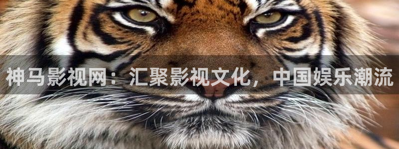 奇优影院免费版
